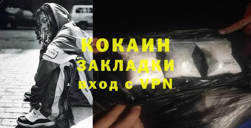 дарк нет какой сайт  Заозёрск  Cocaine FishScale  закладка 